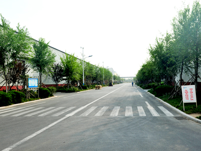 Pavement Works of China National Cotton Group Corporation 